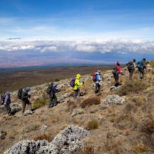 Climb Kilimanjaro - The Lemosho Route